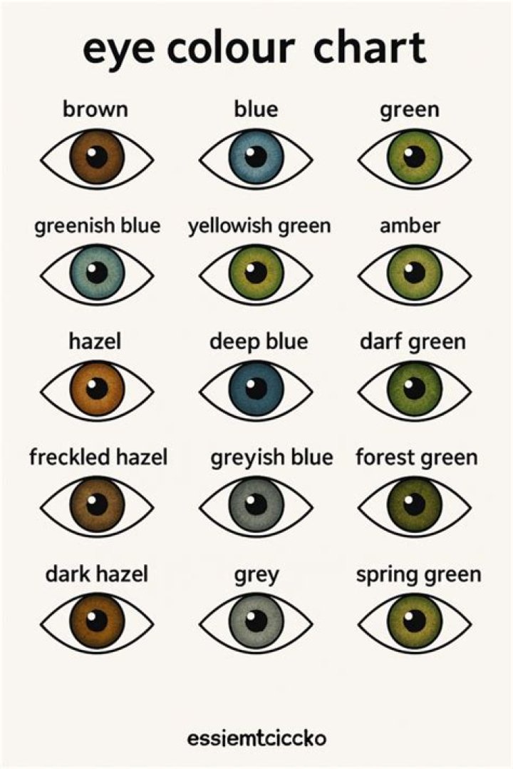 Unveiling The Enchanting Spectrum Of Irish Eye Color: A Guide To Its